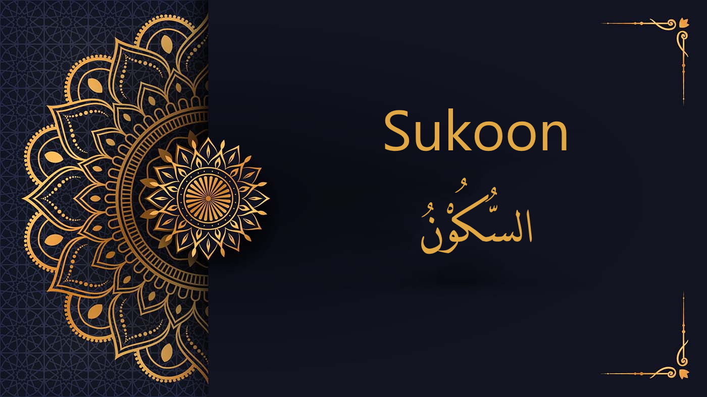 the sukoon in Arabic