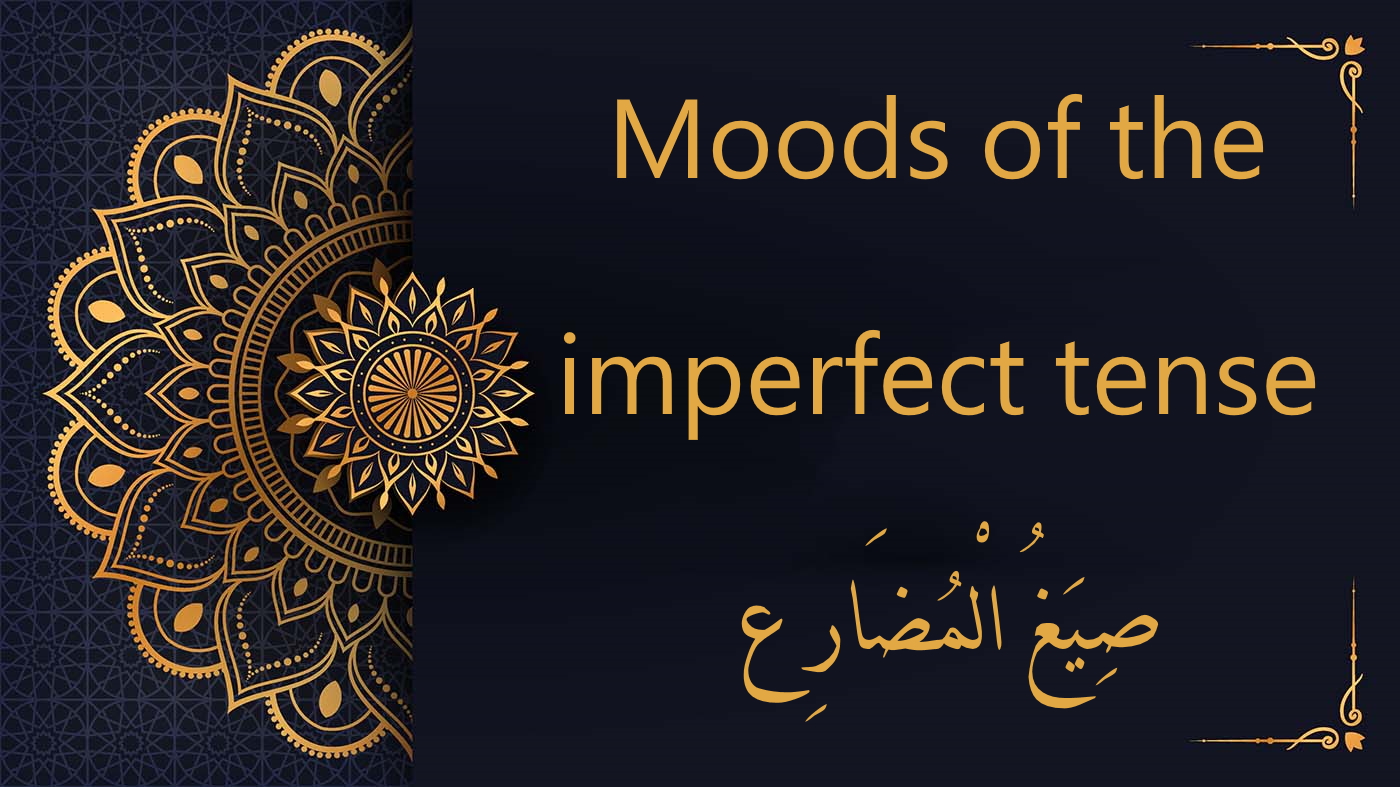 Moods of the imperfect tense - Arabic free course