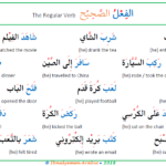 Common Verbs in the Arabic Language