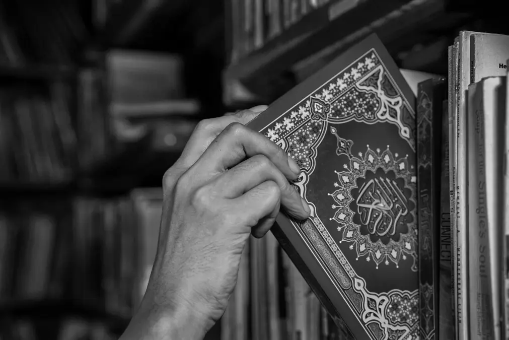 Main prenant un Coran sur une étagère de bibliothèque