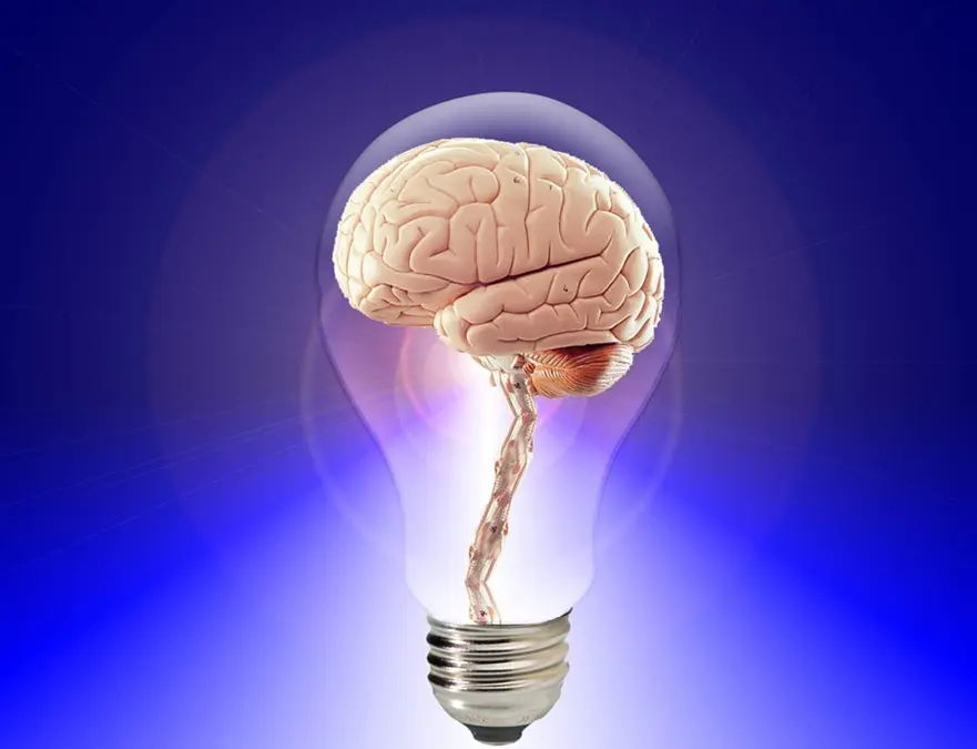Cerveau dans une ampoule symbolisant la mémoire