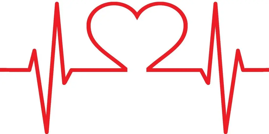 Illustration d’un cœur avec électrocardiogramme pour symboliser l’aide d’Allah