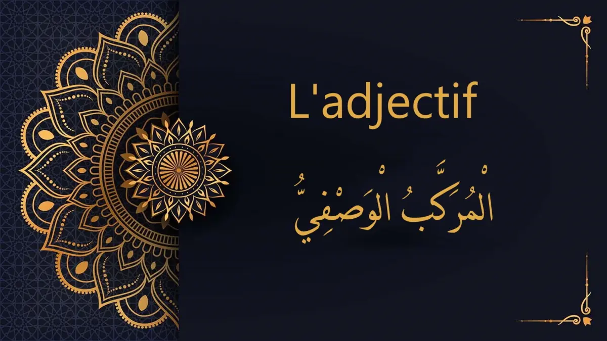 L'adjectif | cours d’arabe gratuit | leçon 16