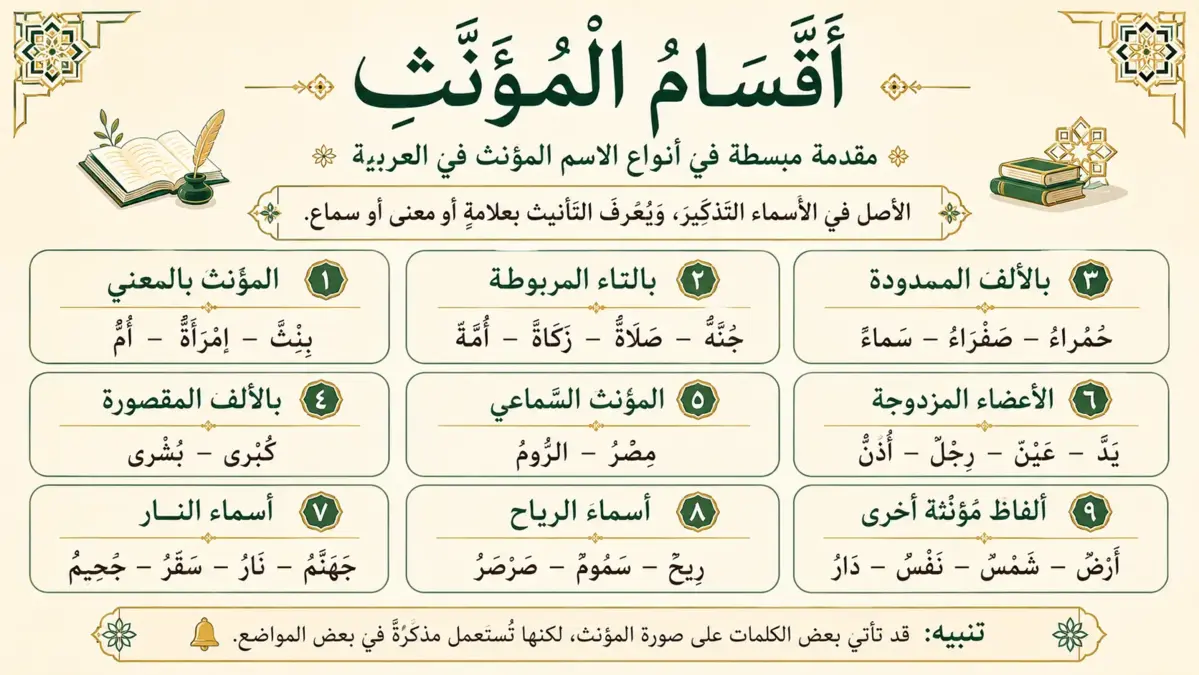 Illustration arabe sur les types de féminins en grammaire arabe