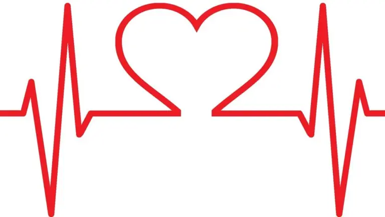 Illustration d’un cœur avec électrocardiogramme pour symboliser l’aide d’Allah