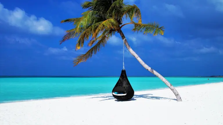 Plage paradisiaque avec palmier et mer turquoise