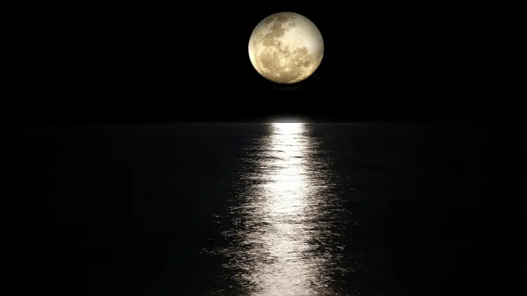 Pleine lune se reflétant sur la mer la nuit