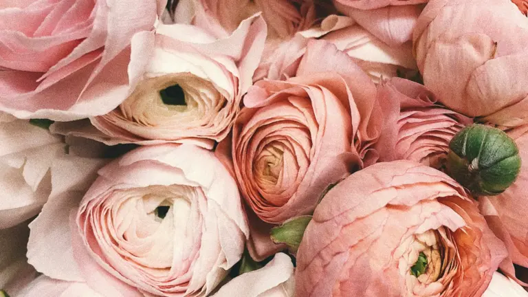 Pink flower bouquet for an Islamic marriage article