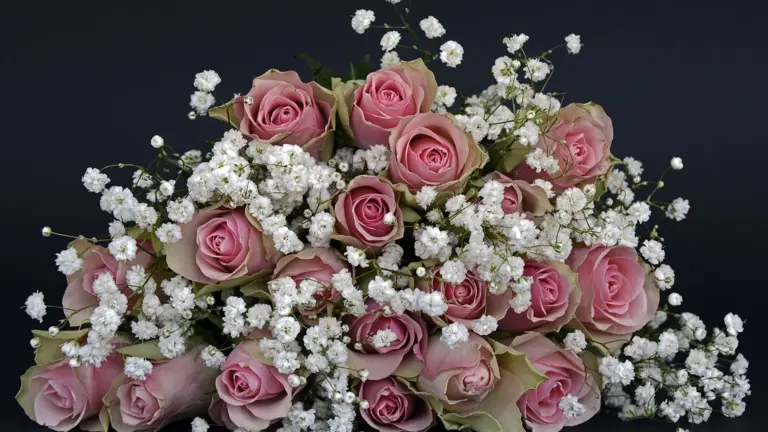 Bouquet of pink roses and white flowers