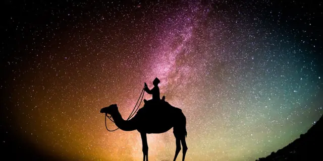 Traveler with camel under starry sky