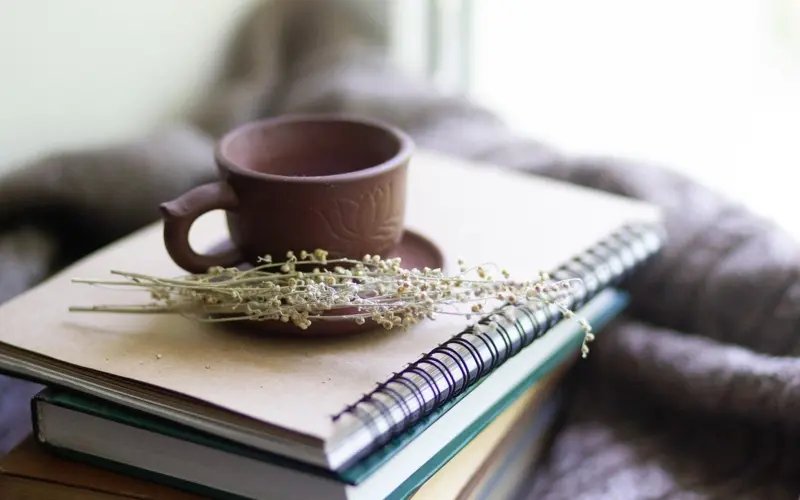 Notebook, cup and medicinal plants on a table