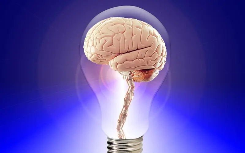 Cerveau dans une ampoule symbolisant la mémoire