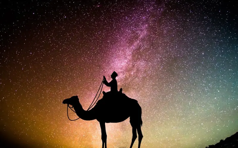 Traveler with camel under starry sky