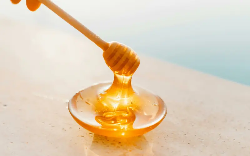12 Sunnah Foods: Embracing the Prophet's Dietary Practices