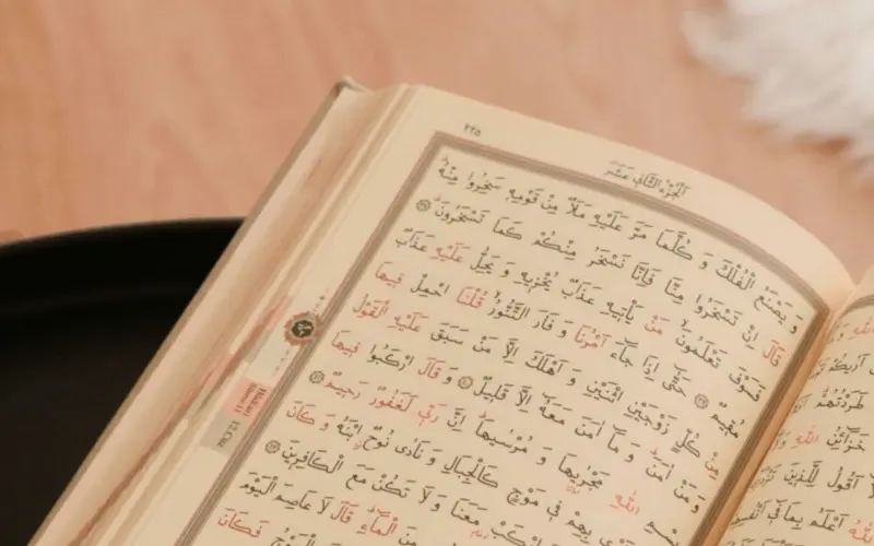 Open Quran illustrating online Quran courses