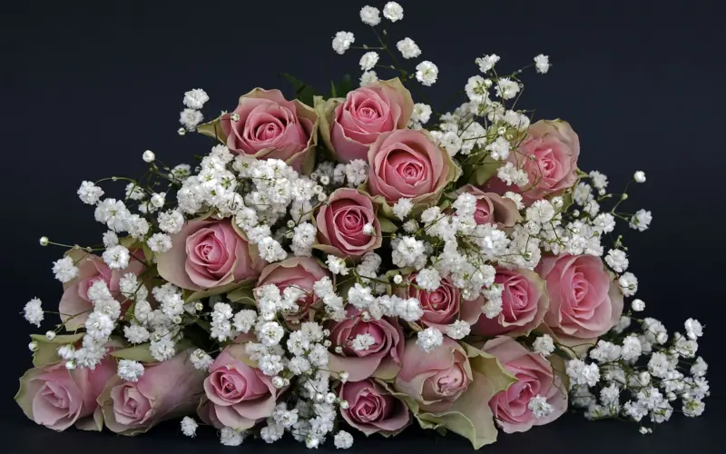 How to Treat Your Wife: Understanding Marital Harmony in Islam