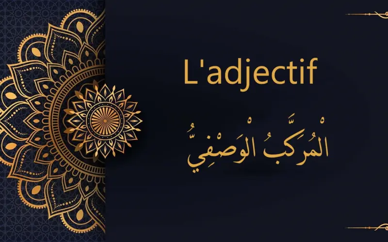 L'adjectif | cours d’arabe gratuit | leçon 16
