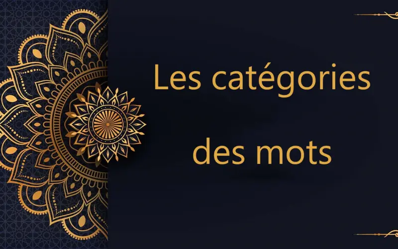 Les catégories des mots | cours d’arabe gratuit | leçon 52