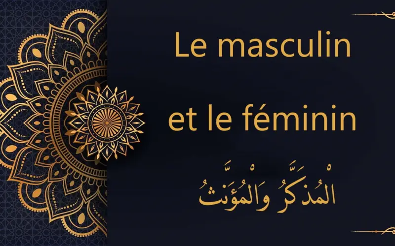Masculin et féminin - الْمُذَكَّرُ وَالْمُؤَنَّثُ| cours d’arabe gratuit | leçon 7