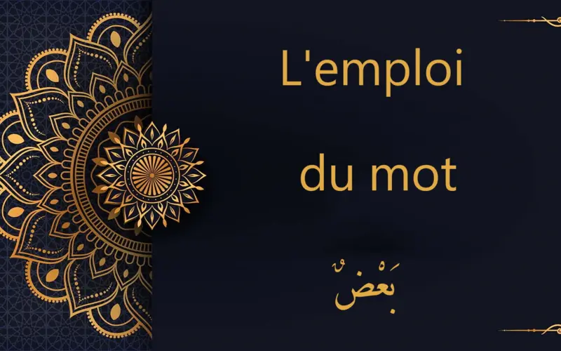 بَعْضٌ  - certain | cours d’arabe gratuit | leçon 30