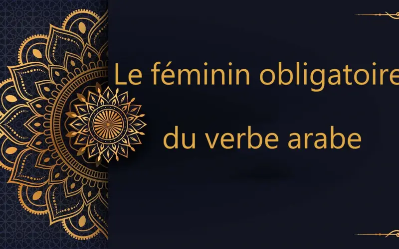 Le féminin obligatoire du verbe arabe | cours d’arabe gratuit | leçon 76