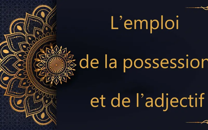 L’emploi de la possession et de l’adjectif | cours d’arabe gratuit | leçon 33