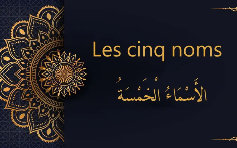Les cinq noms - الأَسْمَاءُ الْخَمْسَةُ | cours d’arabe gratuit | leçon 19