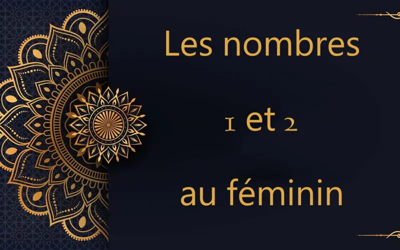 Les nombres 1 et 2 au féminin | cours d’arabe gratuit | leçon 46