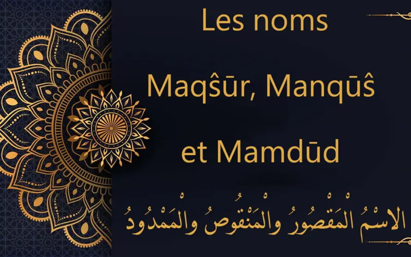 Les noms Maqŝūr, Manqūŝ et Mamdūd  - الاسْمُ الْمَقْصُورُ والْمَنْقُوصُ والْمَمْدُودُ | cours d’arabe gratuit | leçon 63