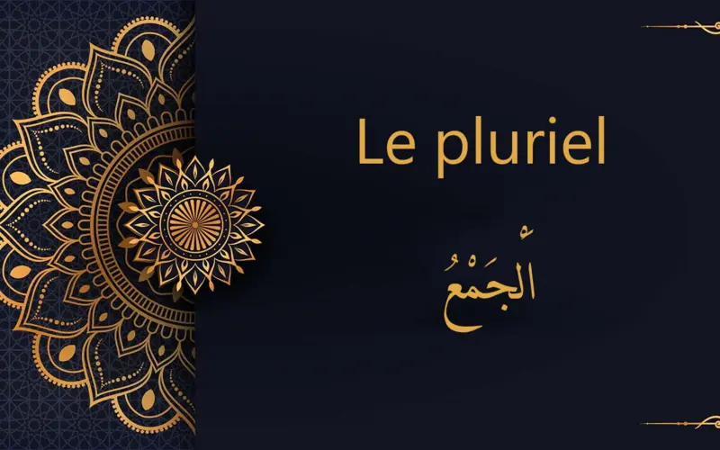 Le pluriel  – اَلْجَمْعُ | cours d’arabe gratuit | leçon 26