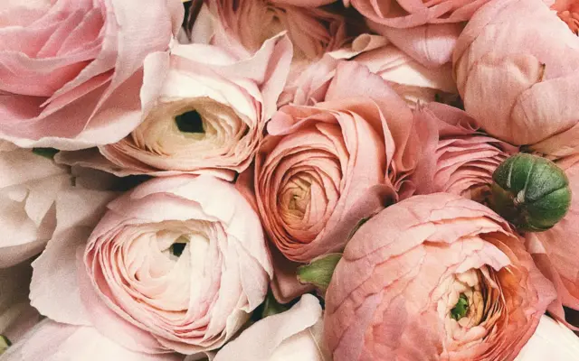Bouquet de fleurs roses pour mariage islamique