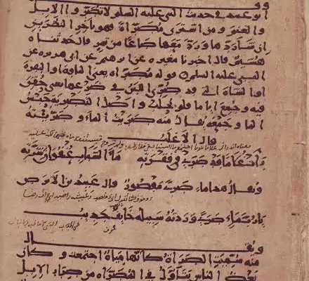 Histoire et évolution de la langue arabe