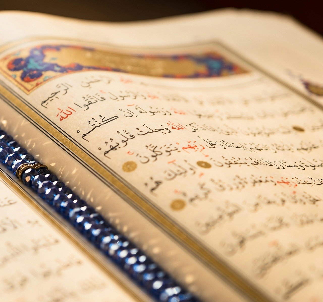 Open Quran for learning Tajwid