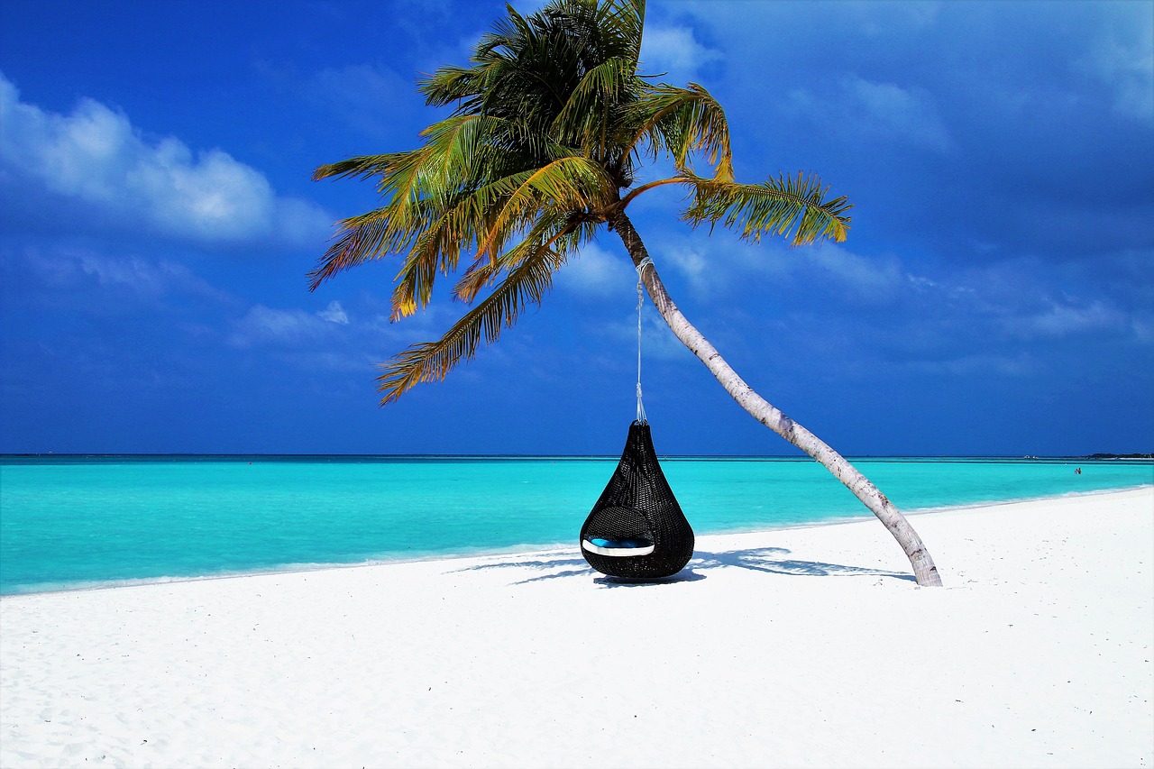 Paradise beach with palm tree and turquoise sea