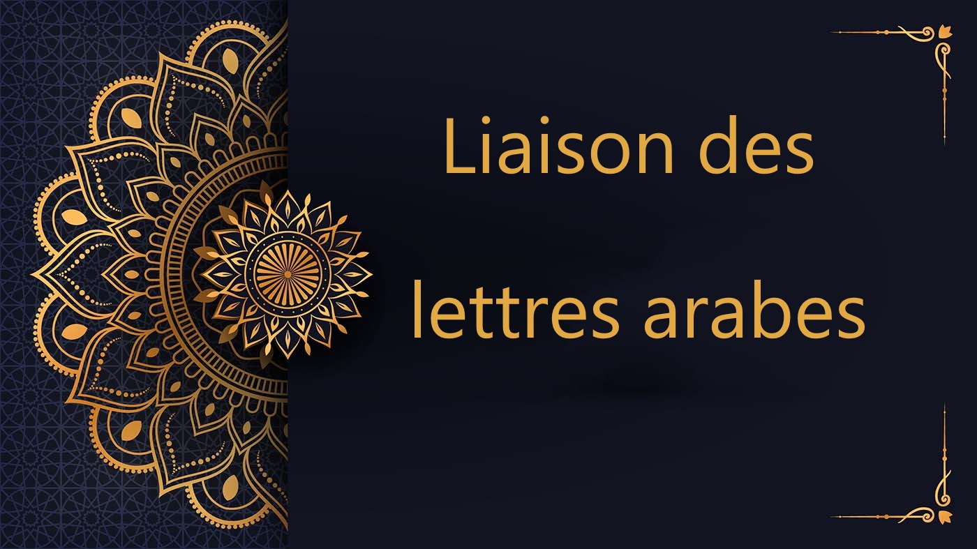 Exploring the Joined Form of Arabic Letters - Free Course | Lesson 7