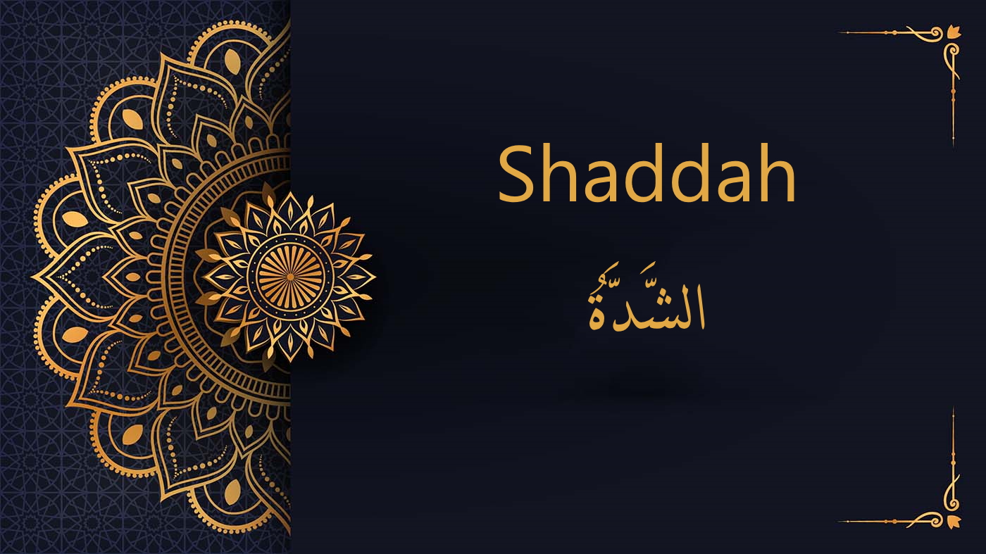 Understanding The Shaddah in Arabic - Free Course | Lesson 6
