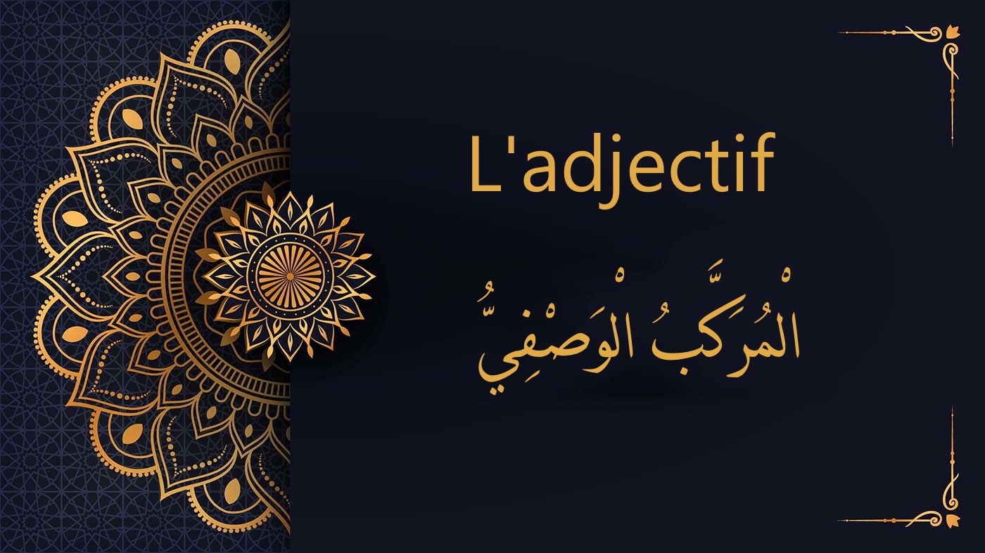 L'adjectif | cours d’arabe gratuit | leçon 16