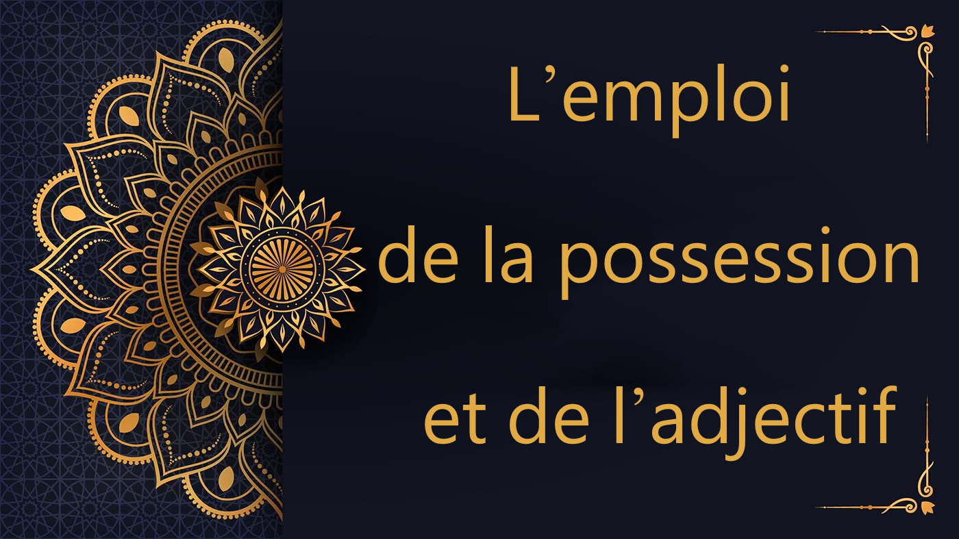 L’emploi de la possession et de l’adjectif | cours d’arabe gratuit | leçon 33