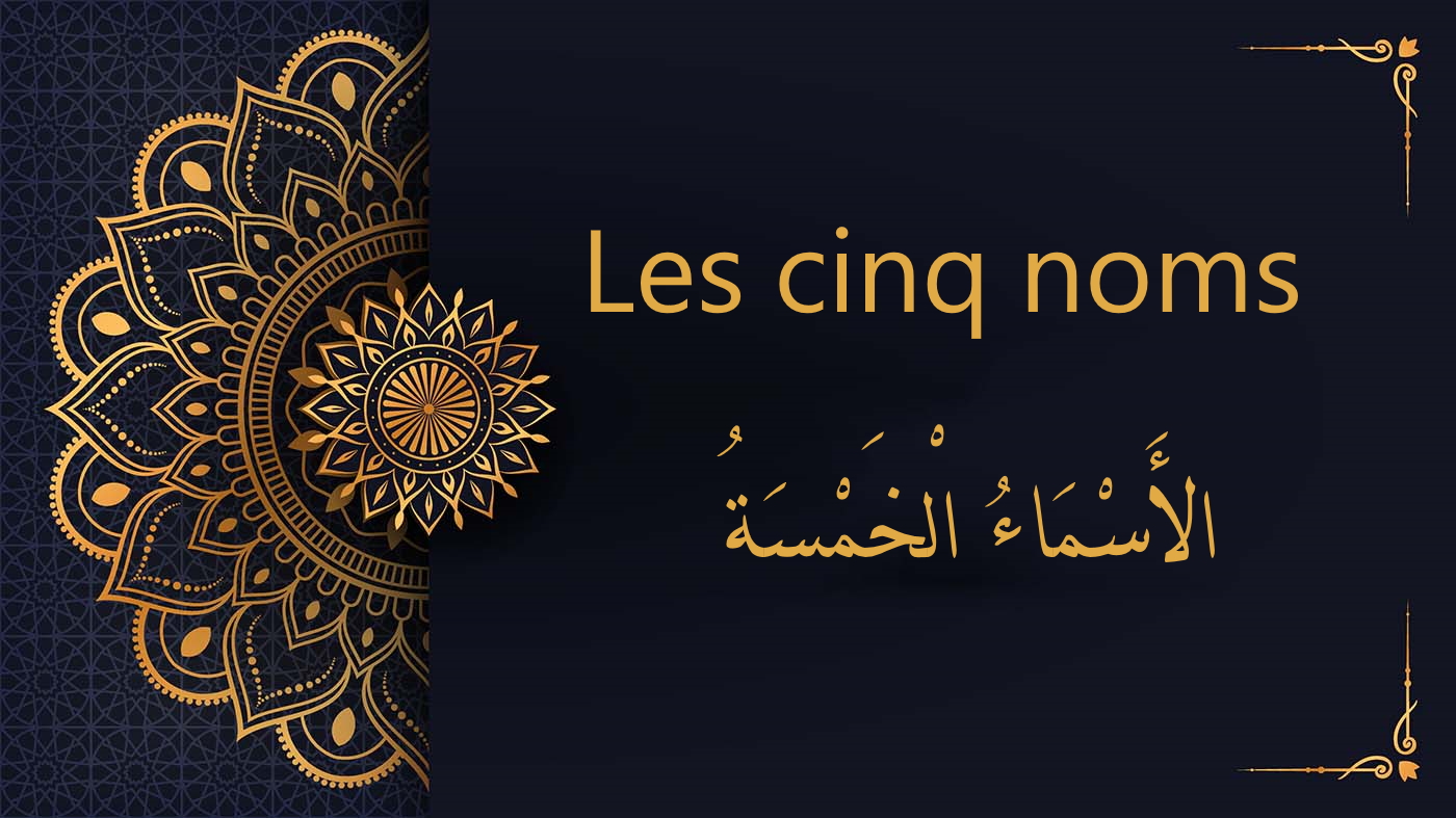 Les cinq noms - الأَسْمَاءُ الْخَمْسَةُ | cours d’arabe gratuit | leçon 19