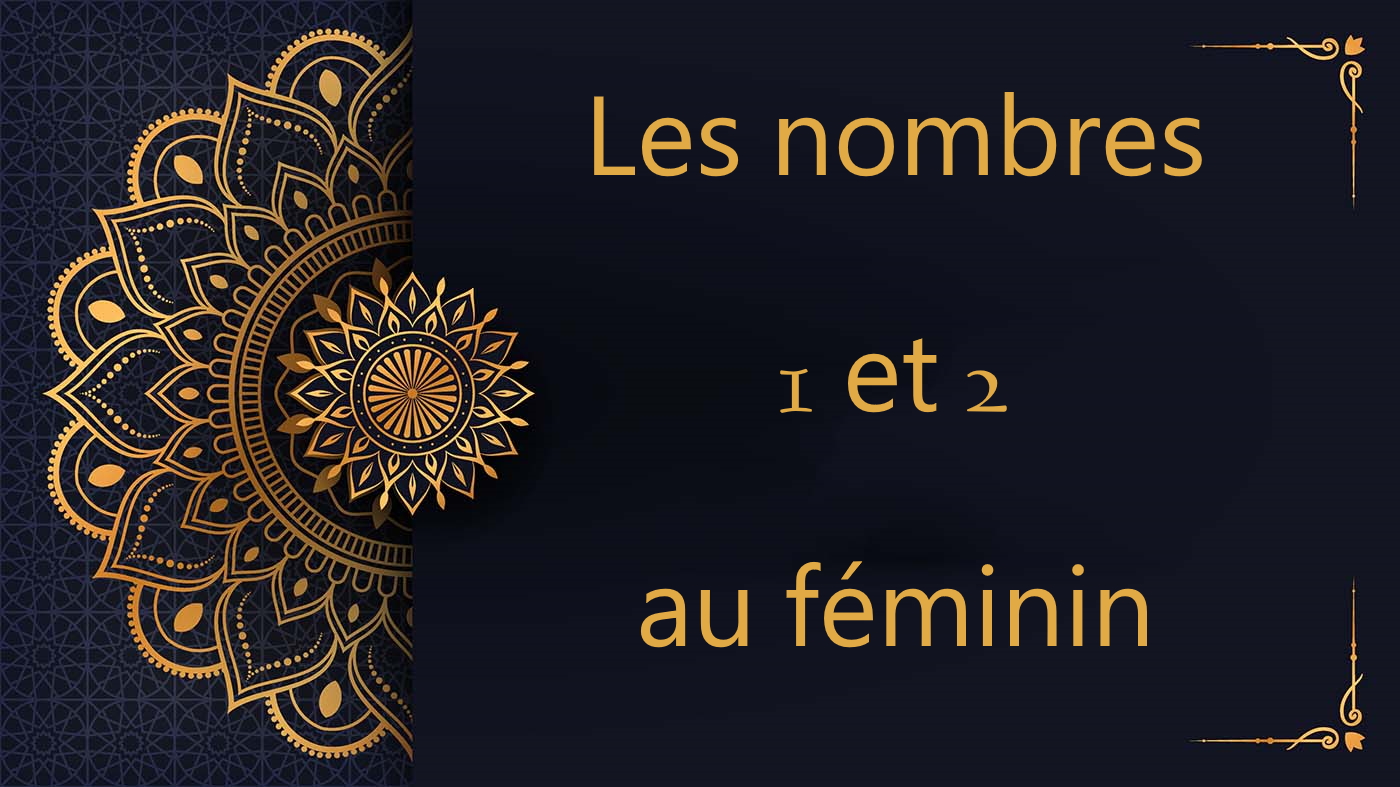 Les nombres 1 et 2 au féminin | cours d’arabe gratuit | leçon 46