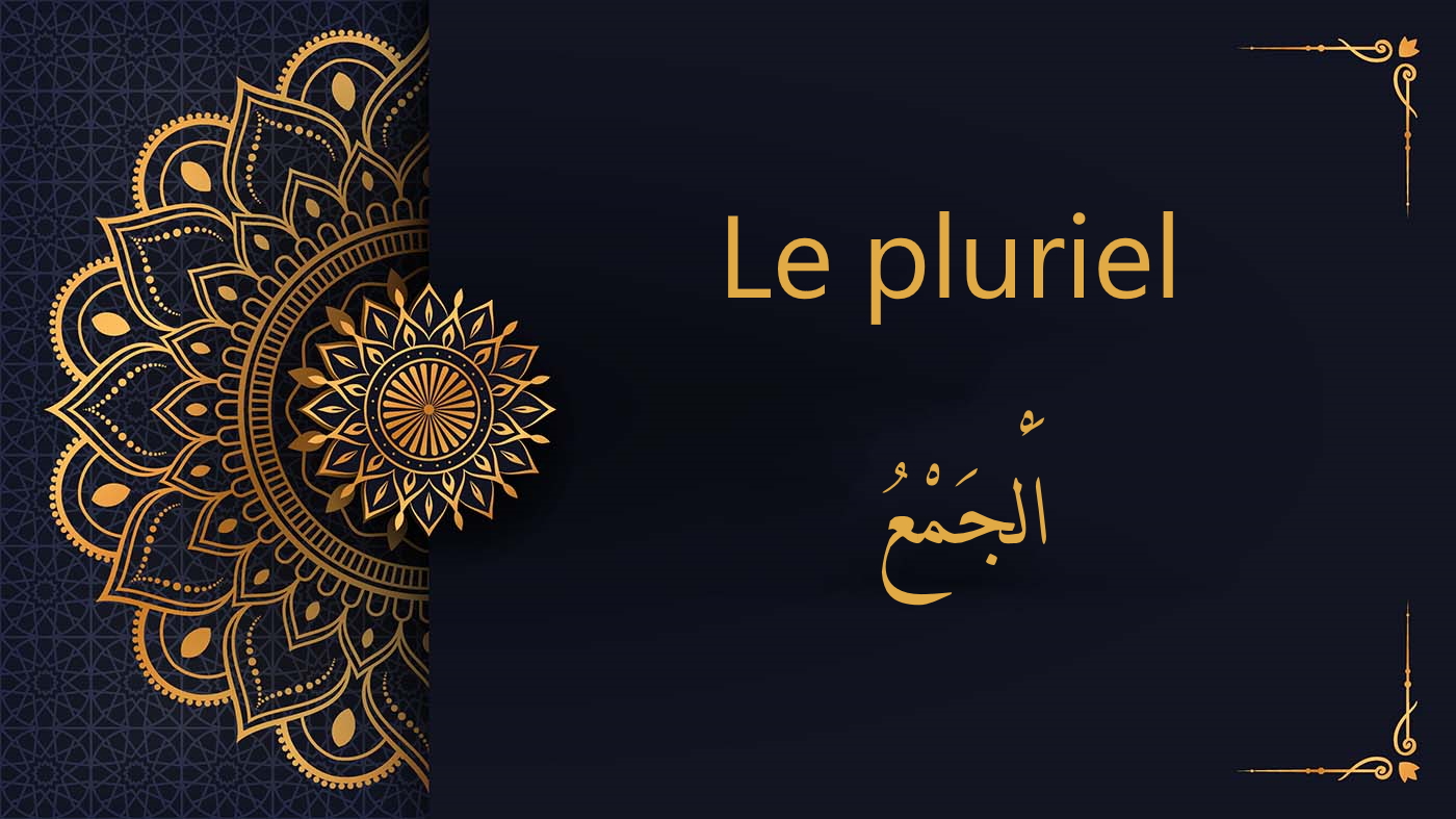 Le pluriel  – اَلْجَمْعُ | cours d’arabe gratuit | leçon 26