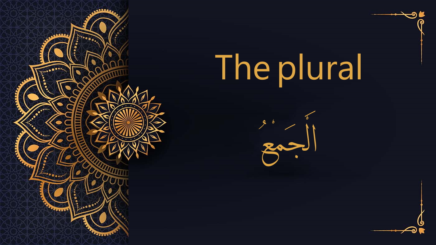 The plural in Arabic - الْجَمْعُ | Arabic Free Course